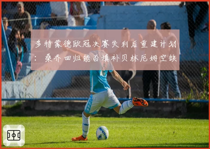 多特蒙德欧冠决赛失利后重建计划:桑乔回归能否填补贝林厄姆空缺?