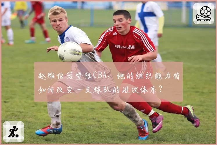 赵维伦若登陆CBA，他的组织能力将如何改变一支球队的进攻体系？